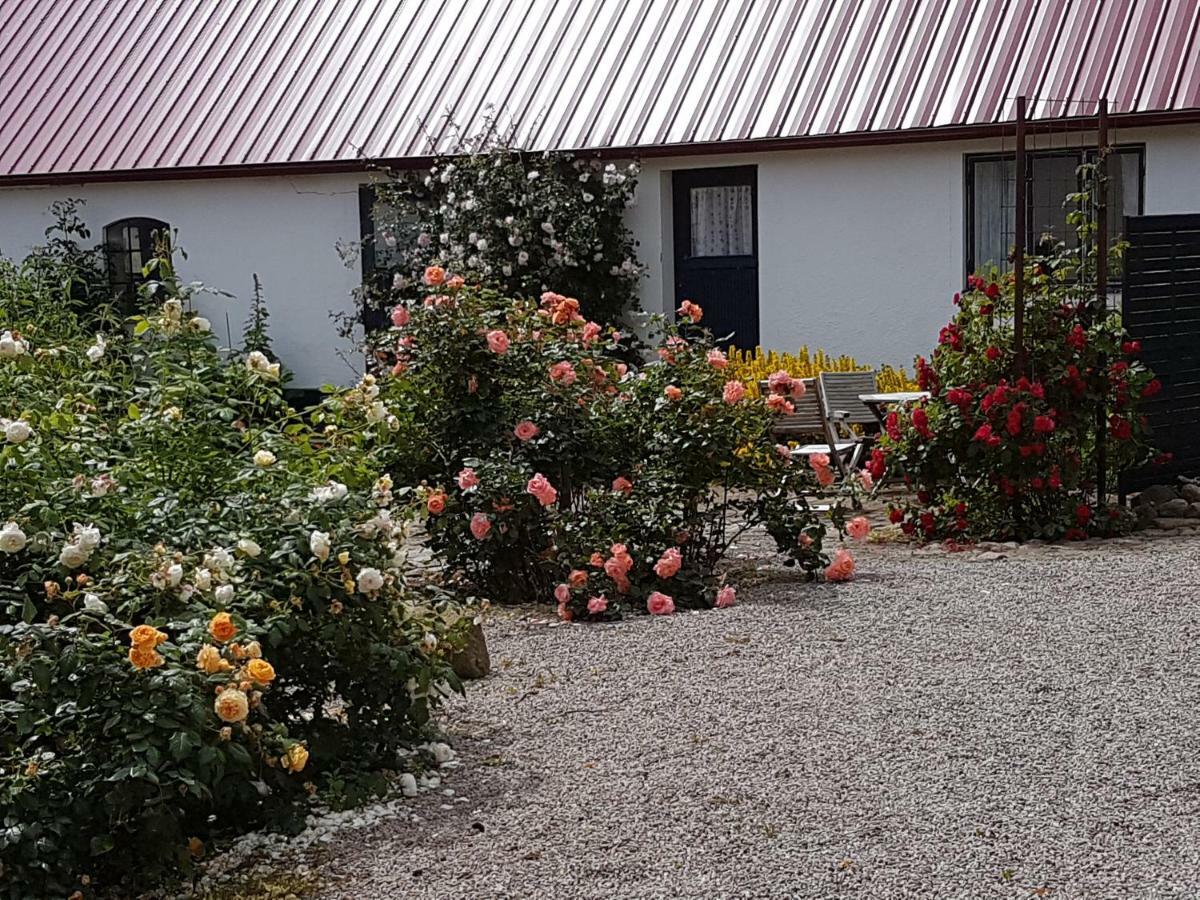 Apartmán Peterslund Östra Tommarp Exteriér fotografie